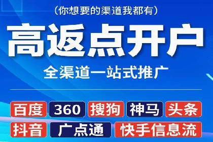 大型企业SEM外包实战案例